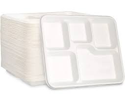Biodegradables Plate 5 Portion 500 PCS